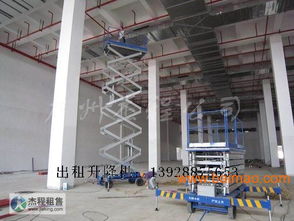 2012年8月1日至2013年8月1日 升降機(jī)設(shè)備租賃市場(chǎng)綜述